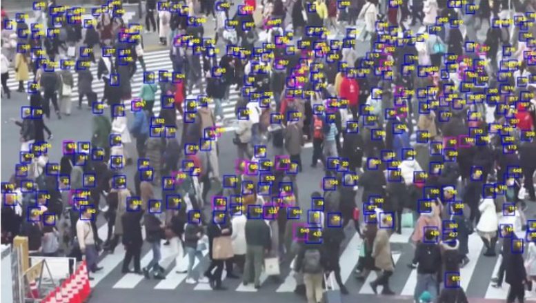 交通量調査 群衆トラッキング